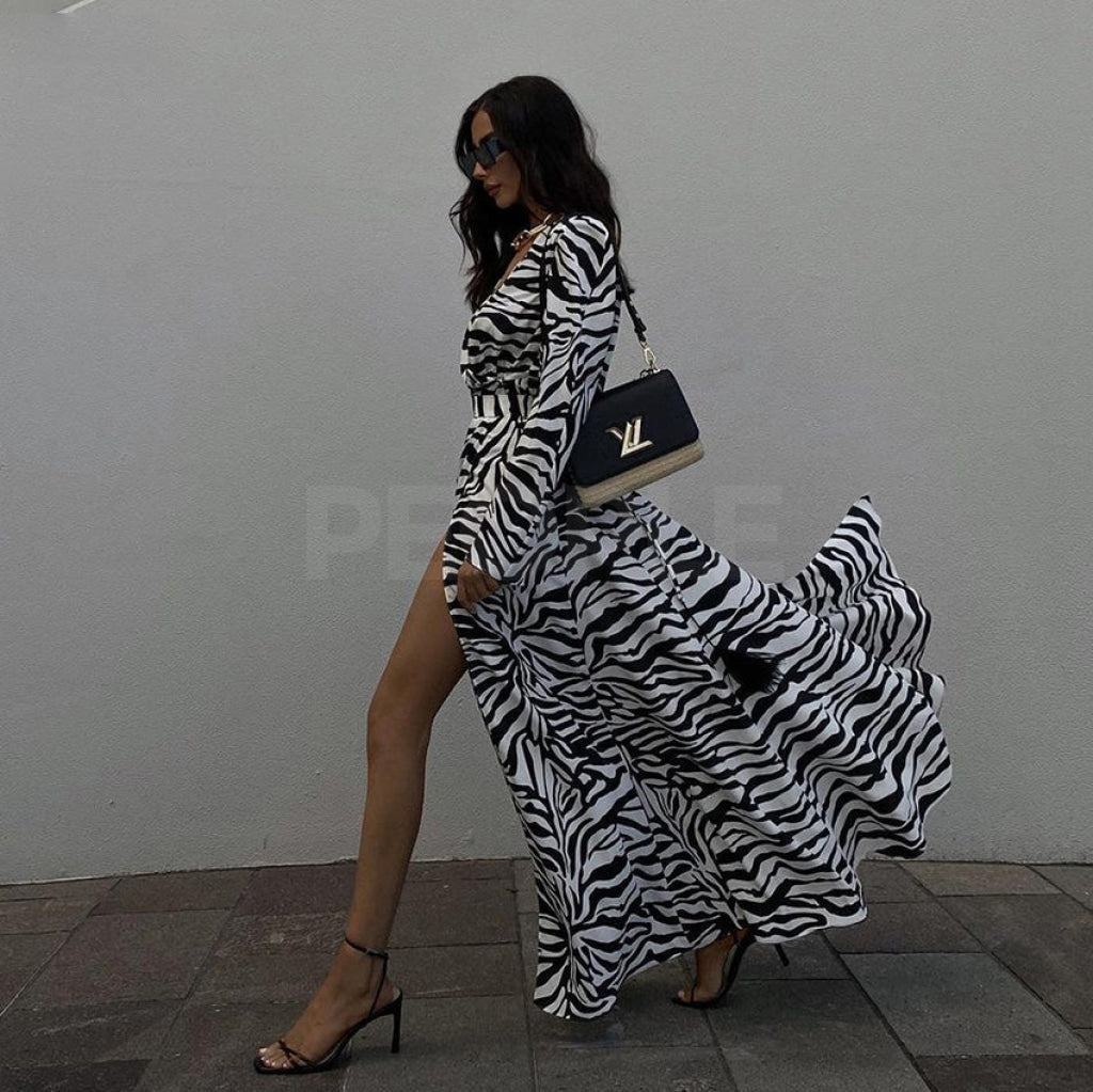 abito lungo zebra Insane dress